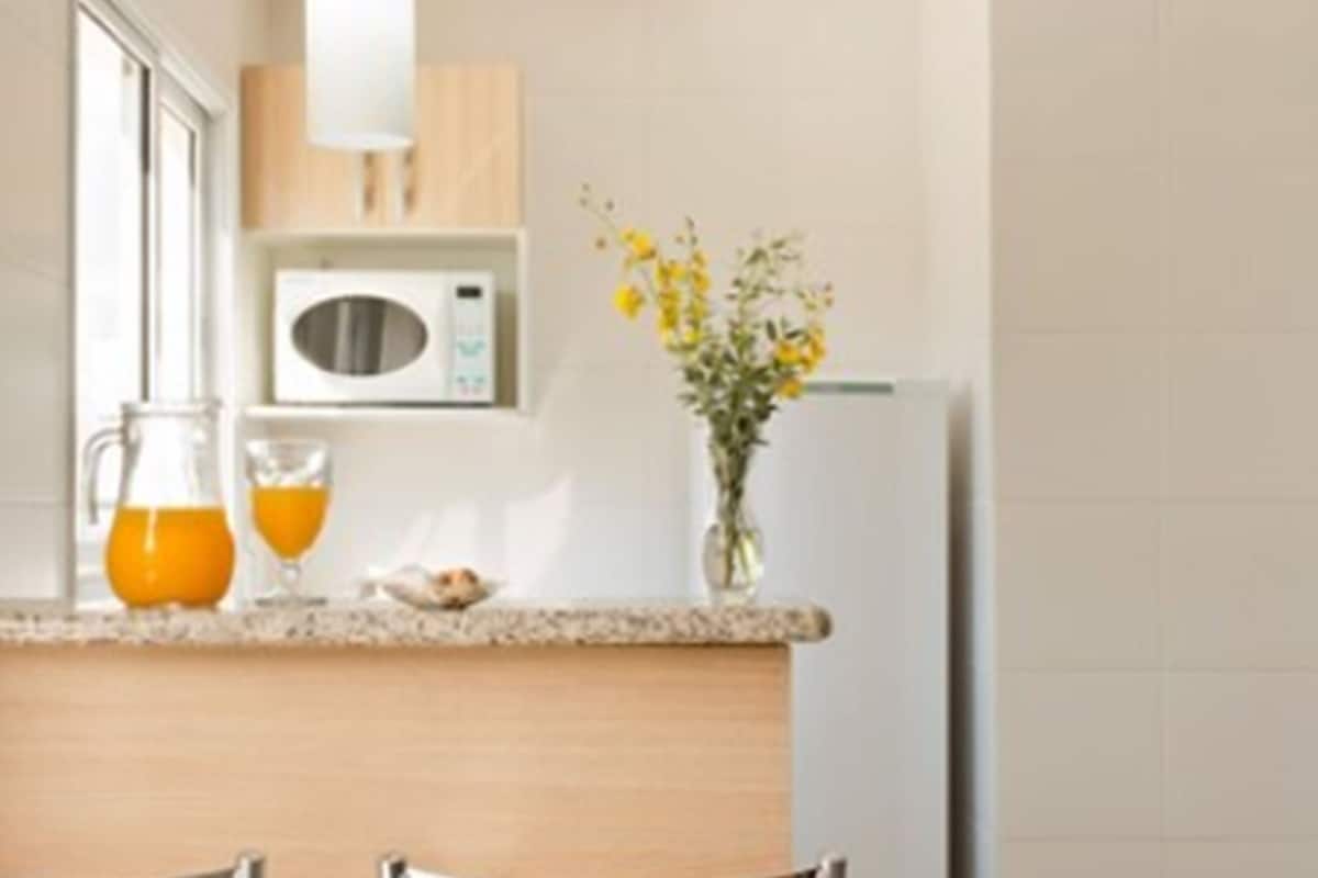 Full-sized fridge, microwave