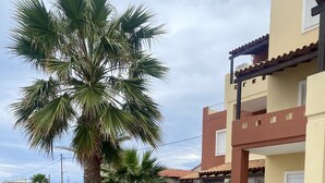 A person holding a bouquet of red flowers in a well-maintained garden area with a palm tree and a building with stone and tiled architecture in the background. - Eliros Studios (Chania)