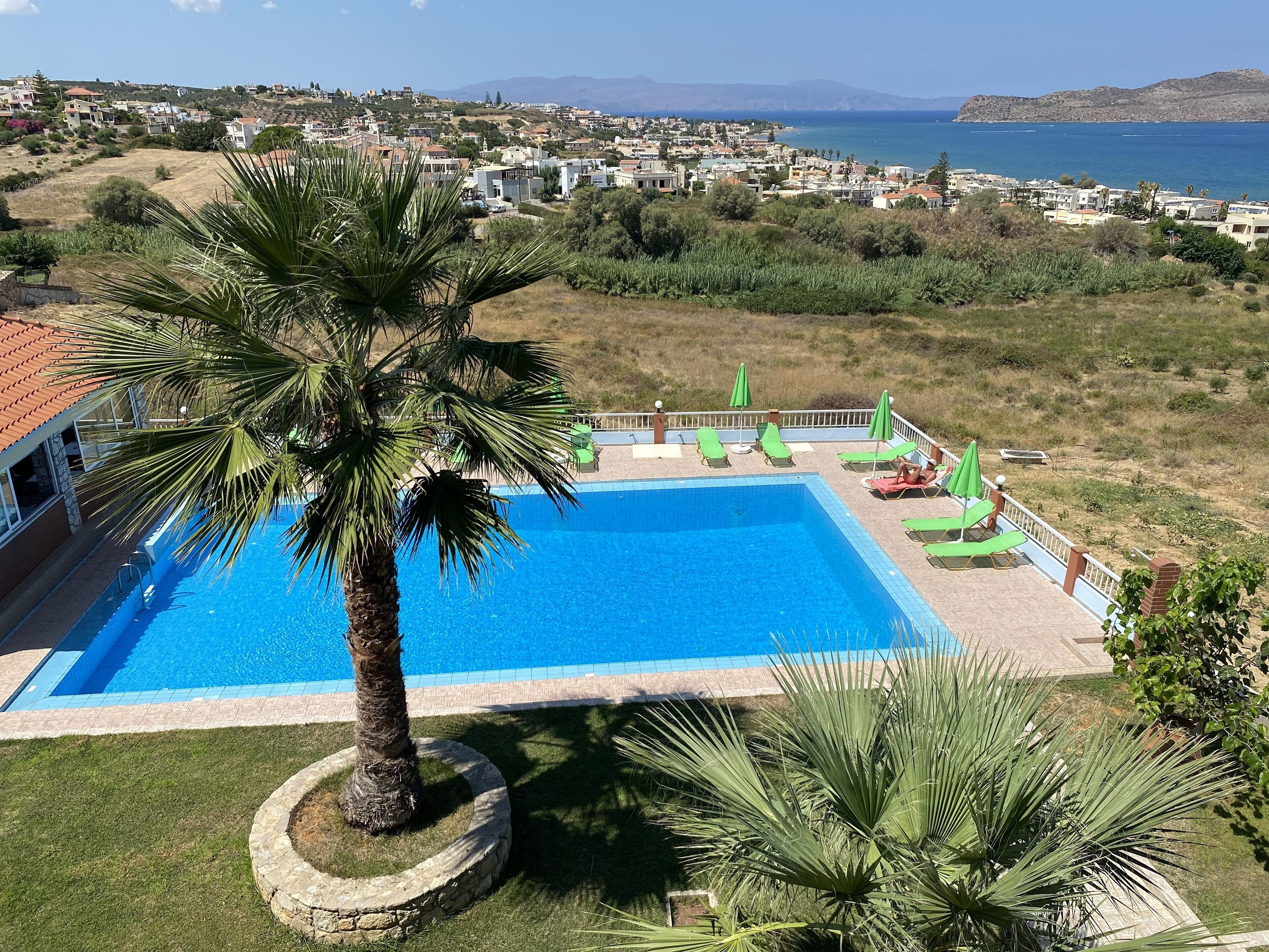 A swimming pool with a palm tree, surrounded by lounge chairs and umbrellas, overlooking a coastal town.