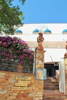 Detalle del exterior