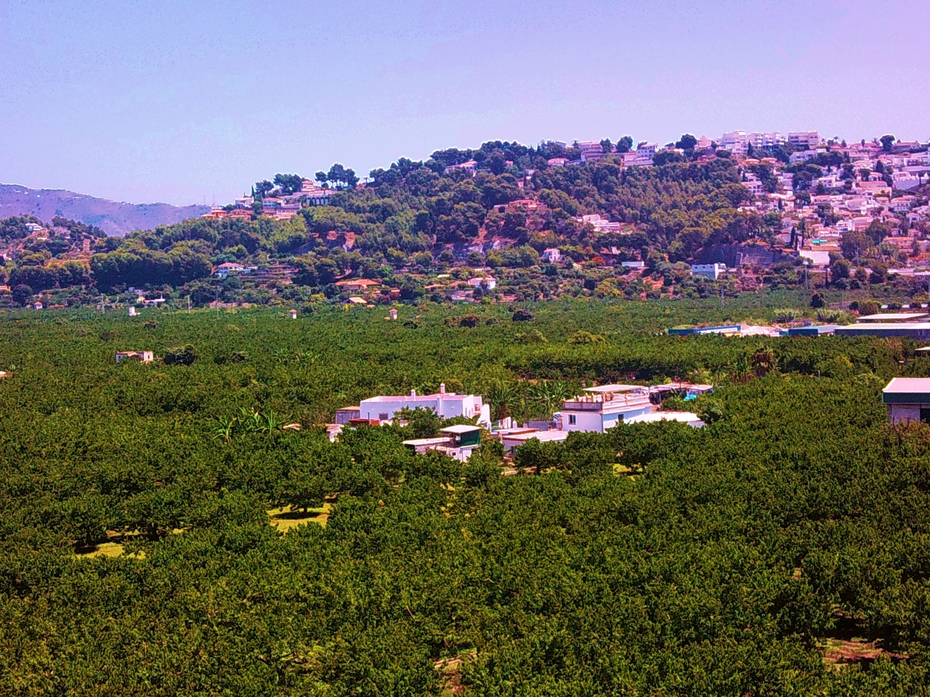 Foto - Hotel SAN SEBASTIAN Almuñécar