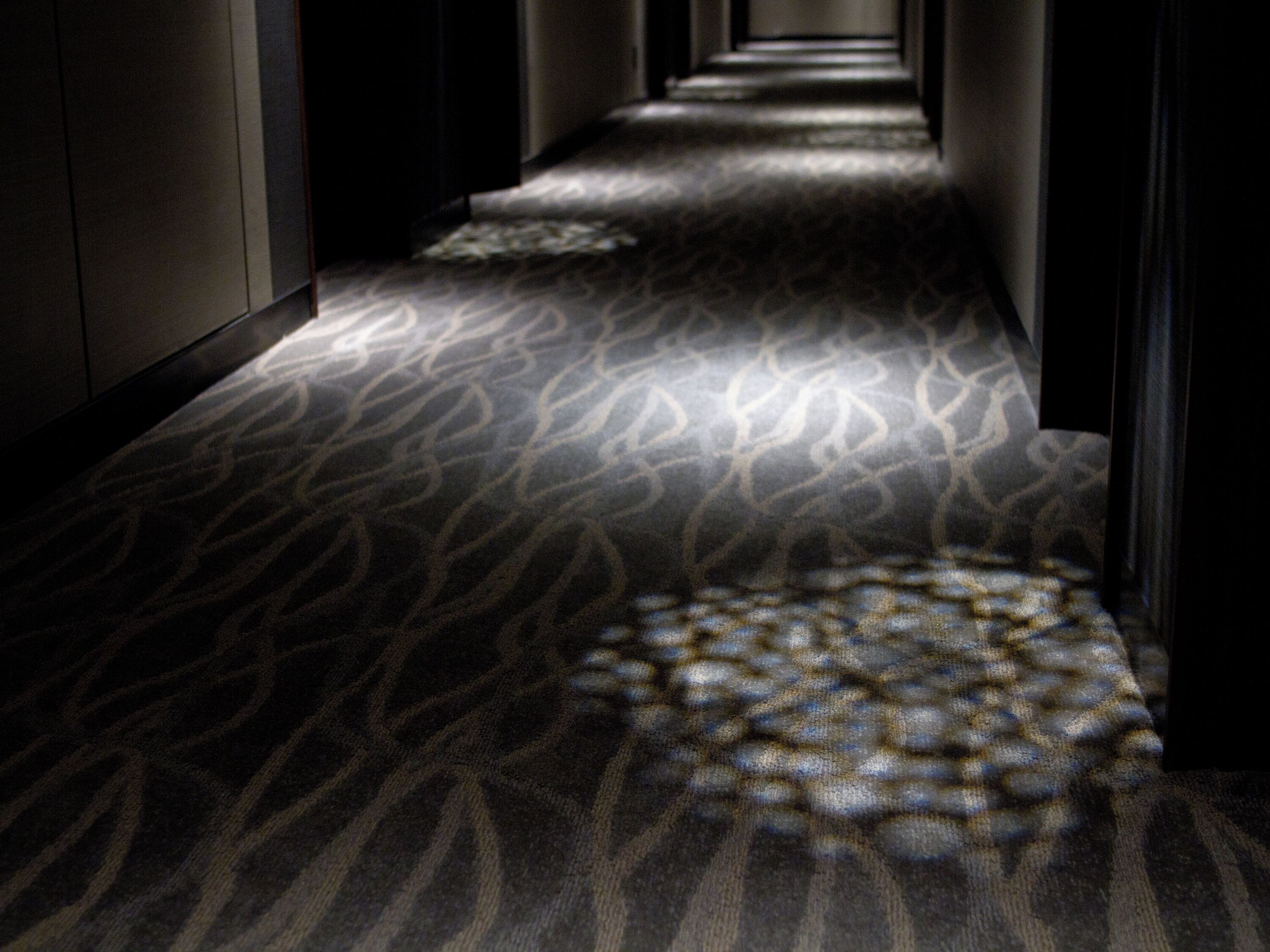 A carpeted hallway with a patterned design.