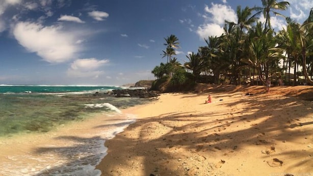 Una playa con agua turquesa cristalina, orilla arenosa y palmeras.
