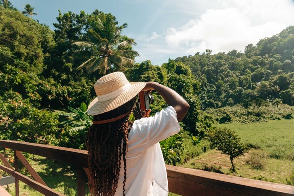 Una persona tomando una fotografía con una cámara, contemplando un paisaje verde y exuberante con árboles y una palmera.