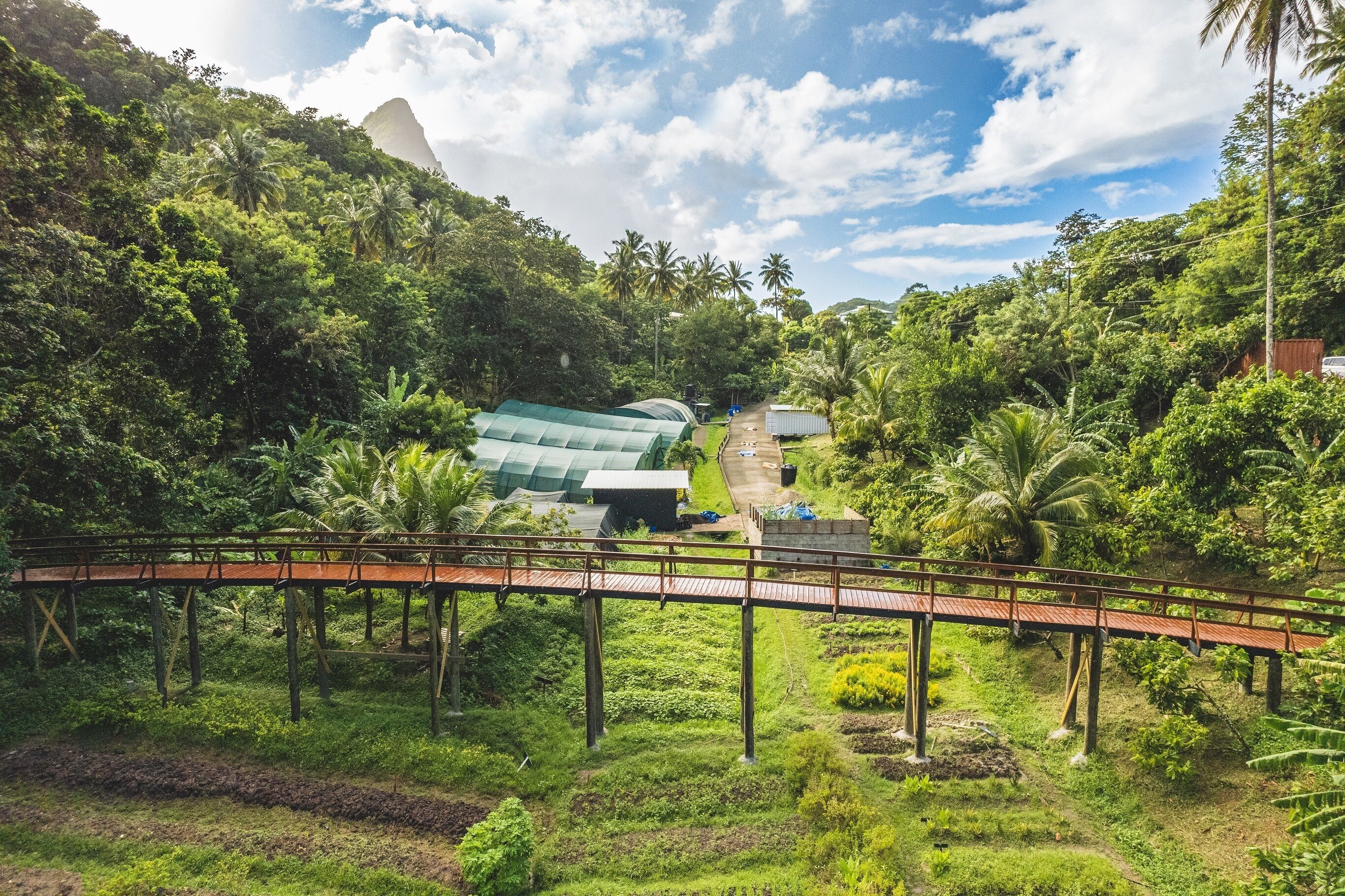 A bridge over a lush green landscape with a building in the background.