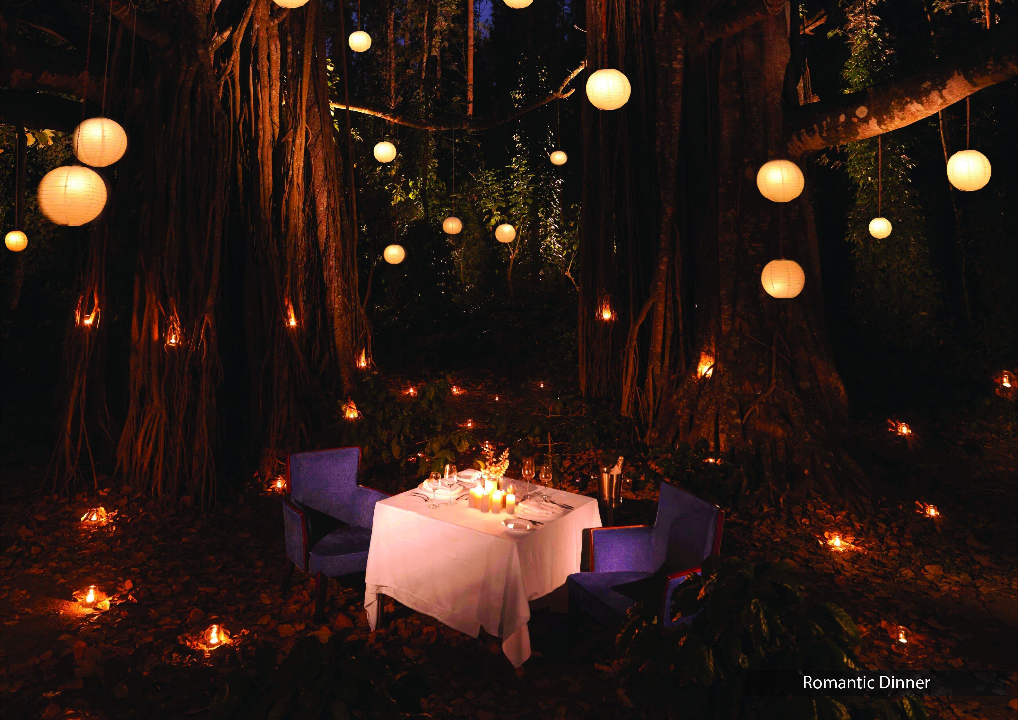 Cena romántica dispuesta en un bosque, con una mesa y sillas, rodeada de faroles colgantes.