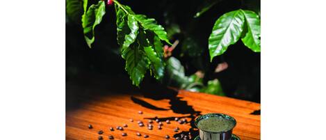 Un molinillo de café con granos de café esparcidos alrededor.