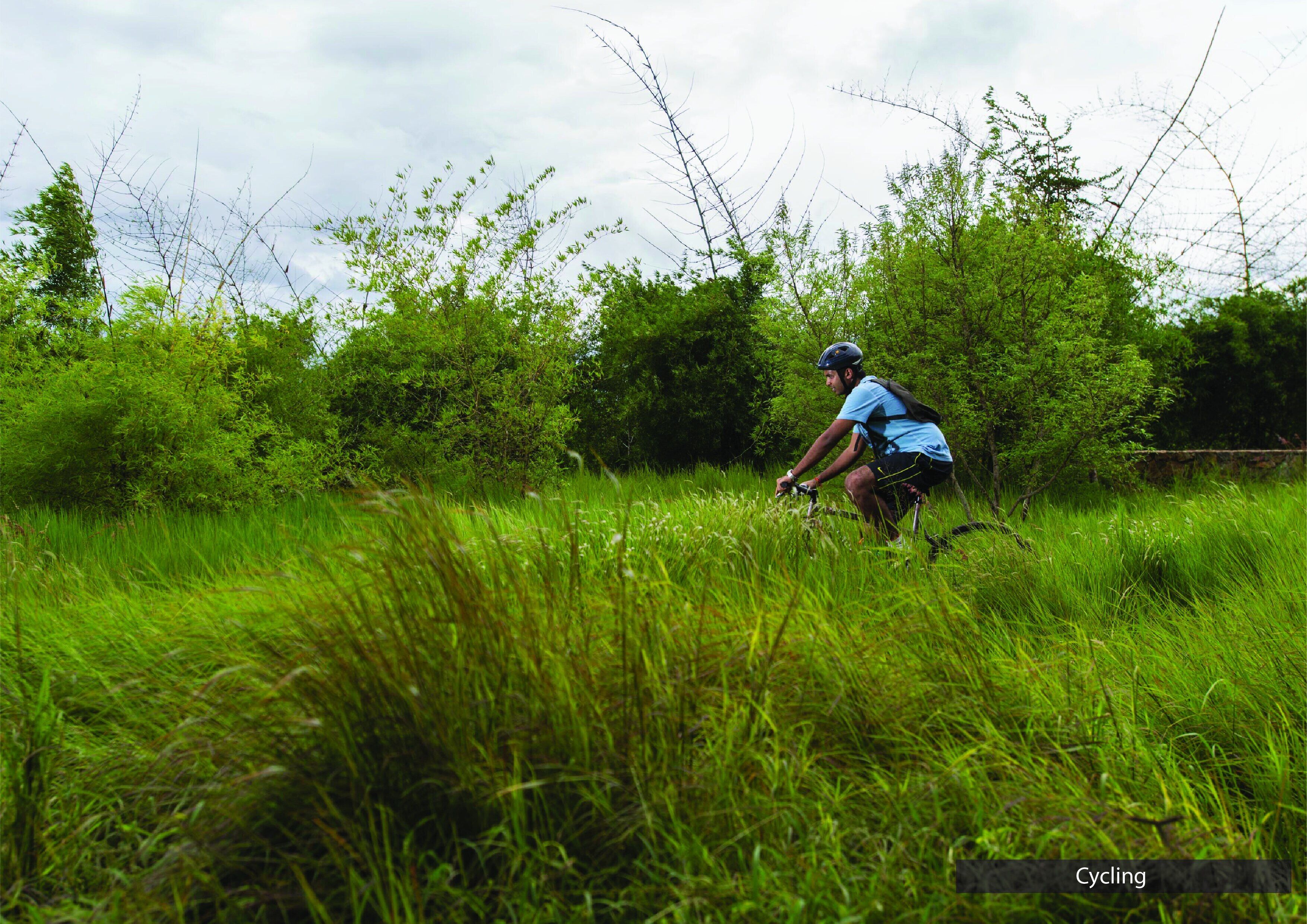A person cycling through a grassy field with trees in the background.
