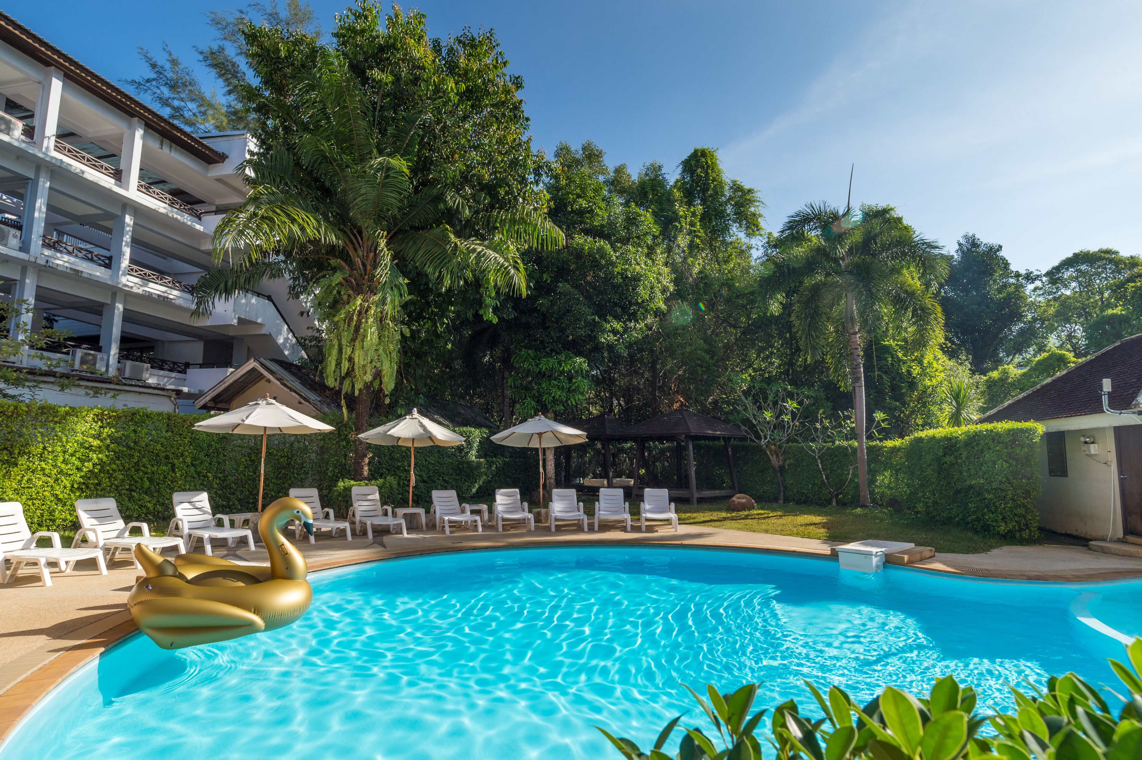 A swimming pool with lounge chairs and umbrellas, surrounded by lush greenery and a multi-story building.