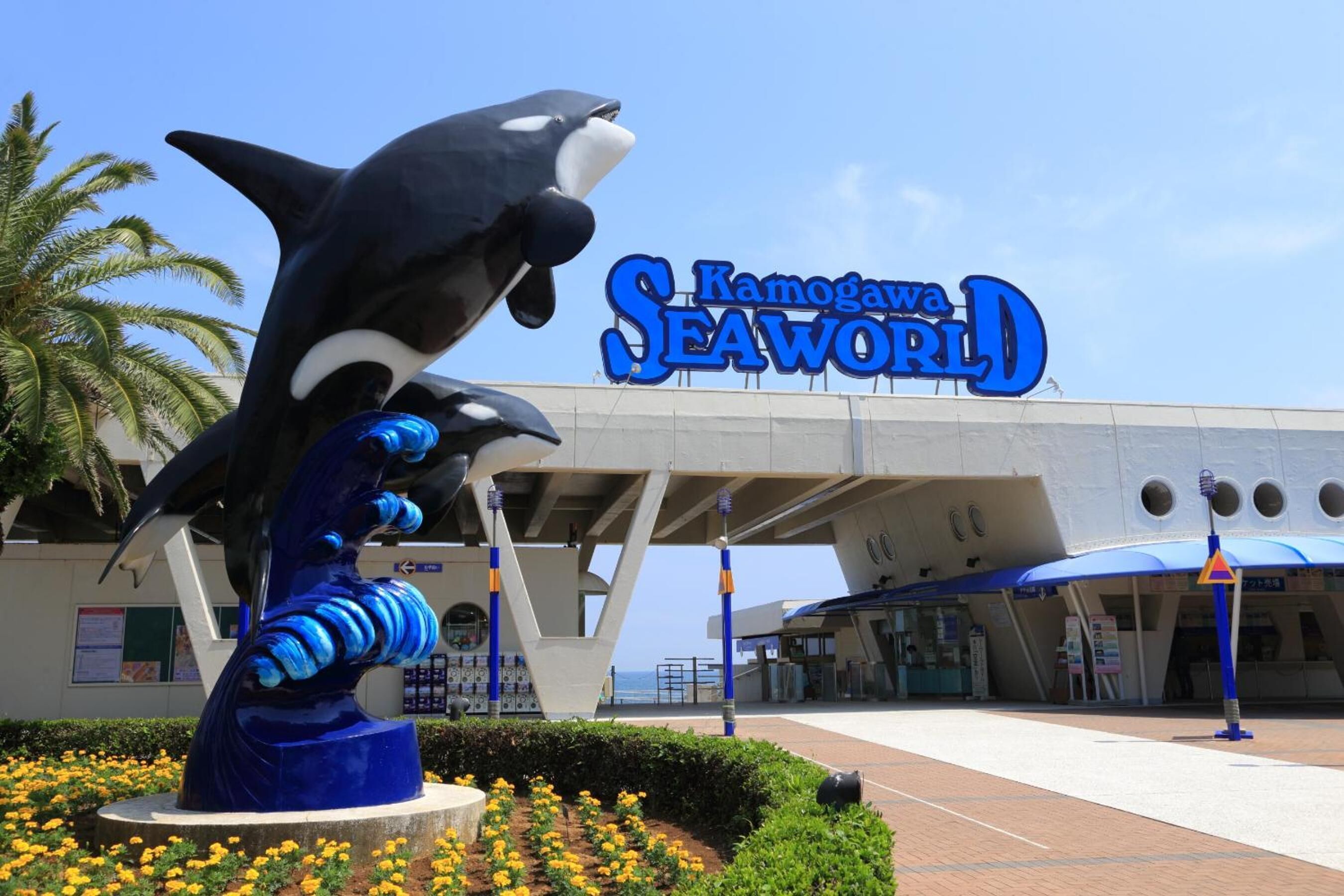 Una gran escultura azul de orca frente a un edificio con el rótulo "Kamogawa SeaWorld".