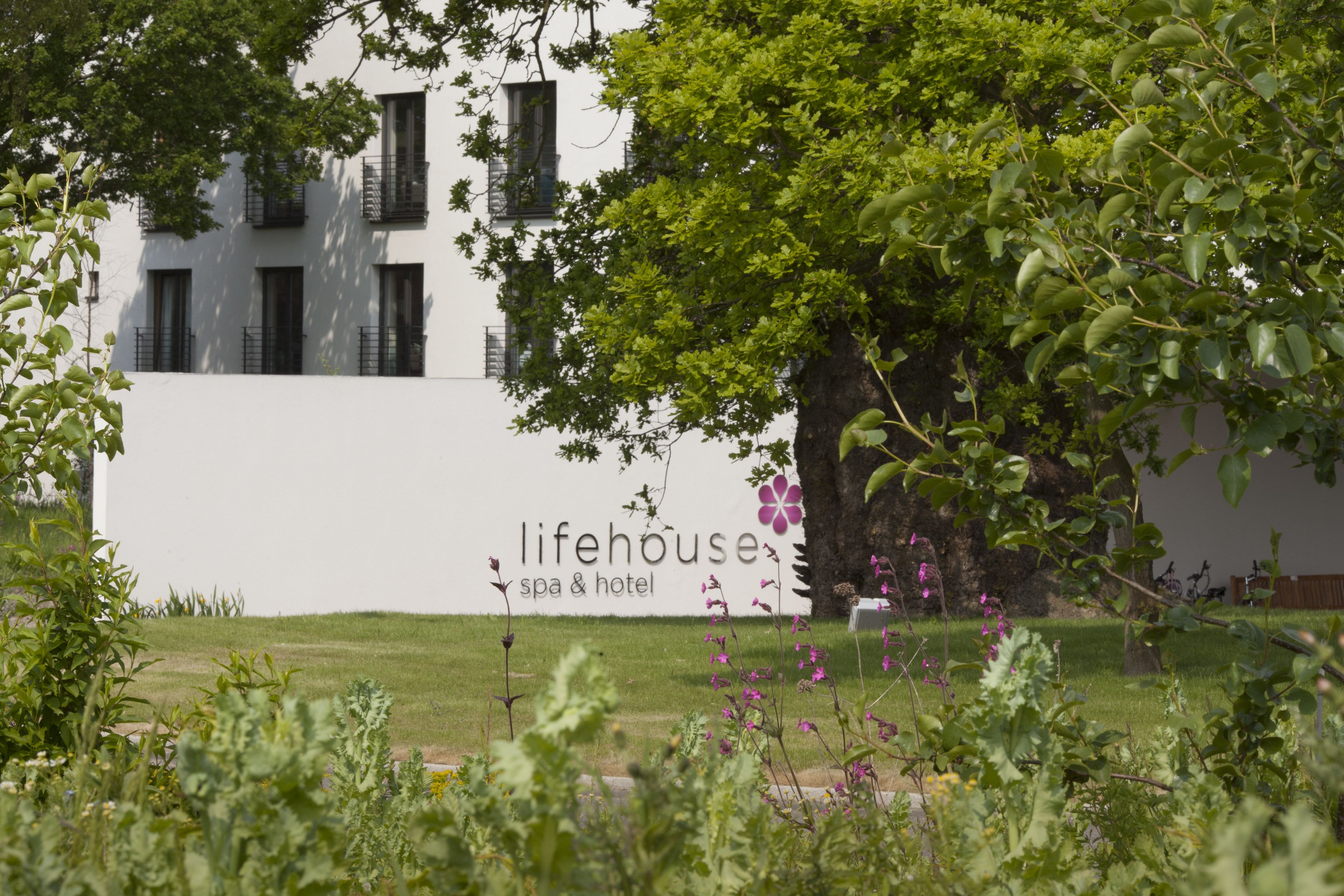 A building with a sign reading "lifehouse spa & hotel" surrounded by greenery and a tree.