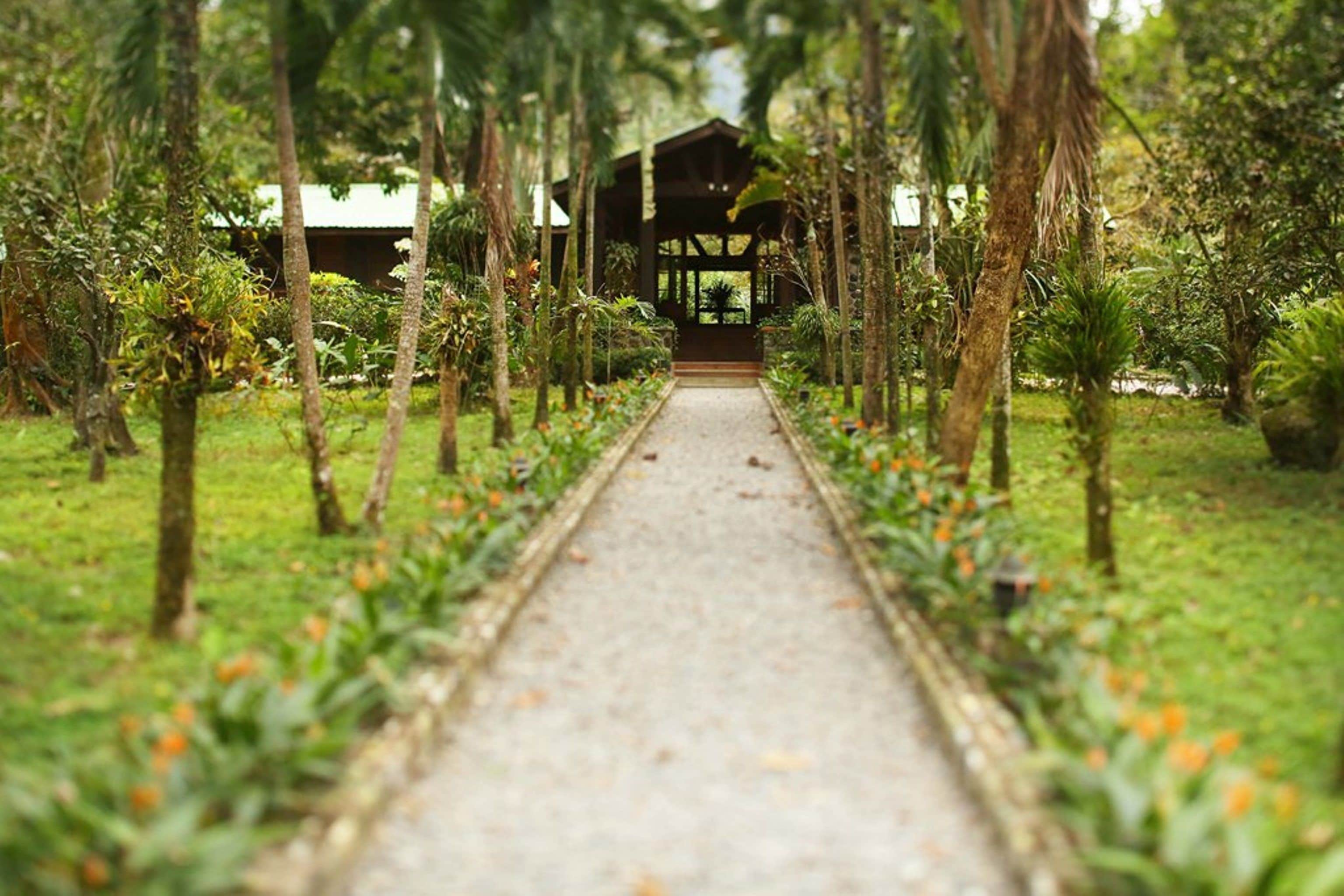 A pathway leading to a wooden structure surrounded by lush greenery and orange flowers.