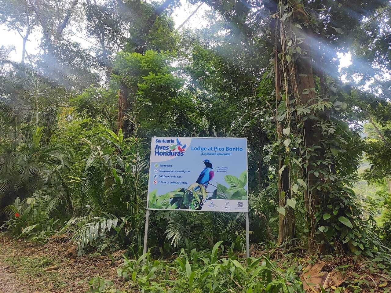 A signboard for Santuario Aves Honduras Lodge at Pico Bonito, featuring a bird illustration and text about conservation and research.