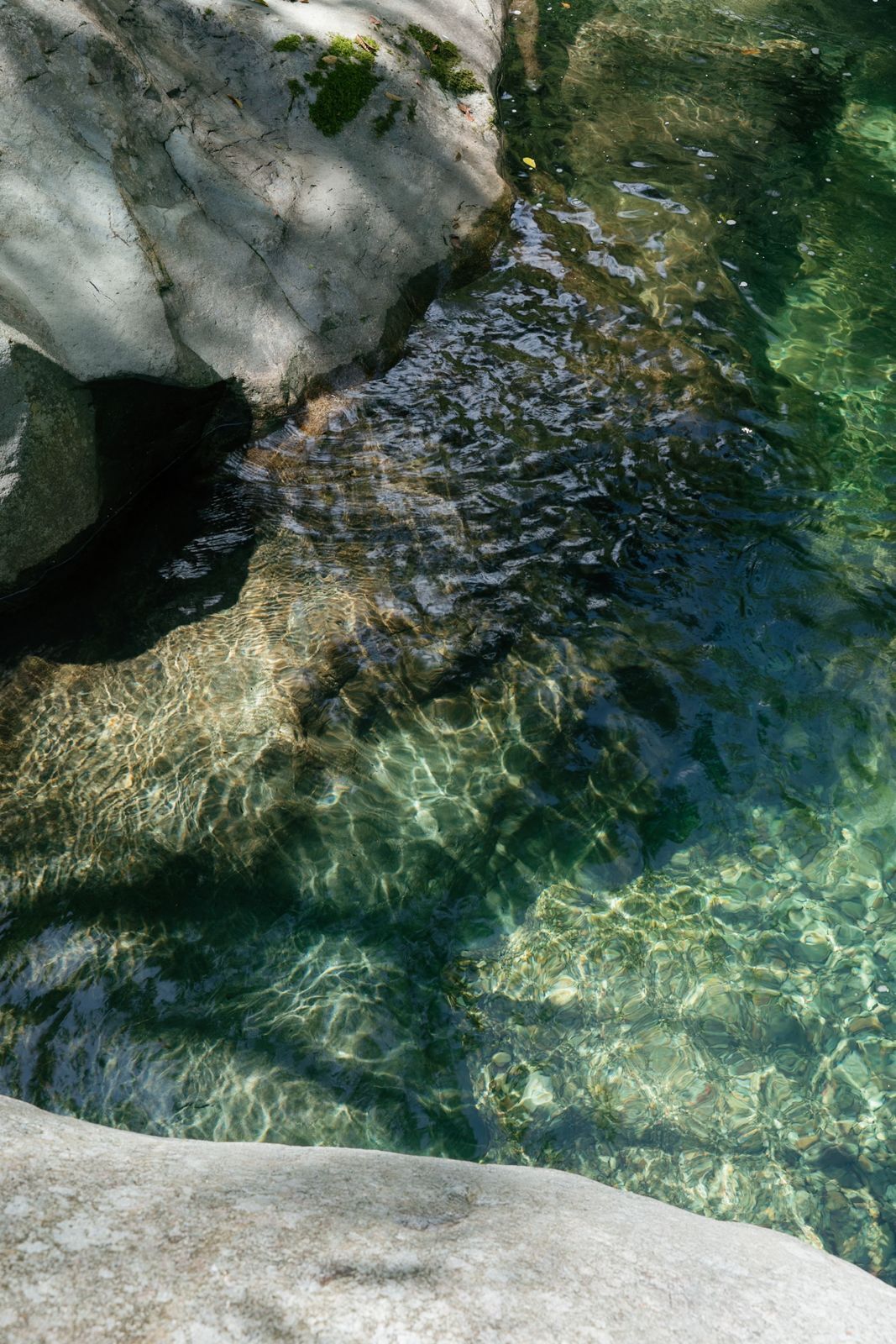 A clear water body with rocks and moss, indicating a natural setting.