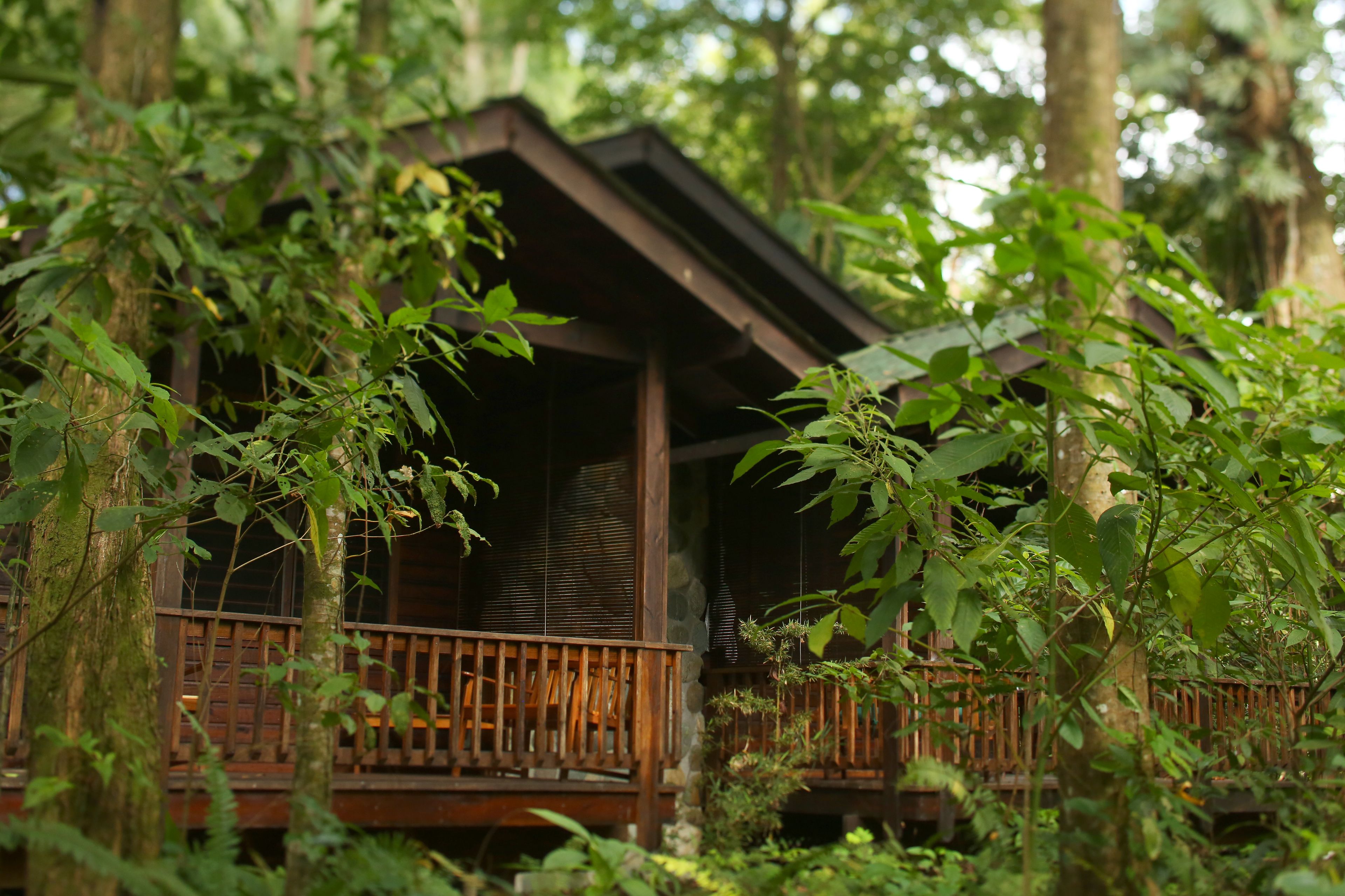 A wooden cabin with a balcony surrounded by lush greenery.