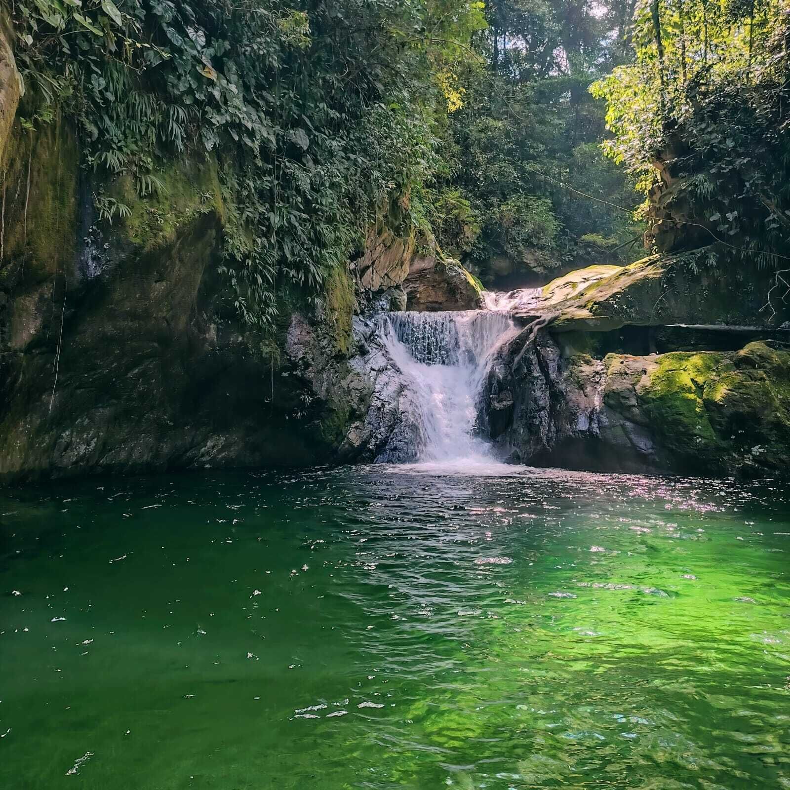 A waterfall in a forested area with clear water.