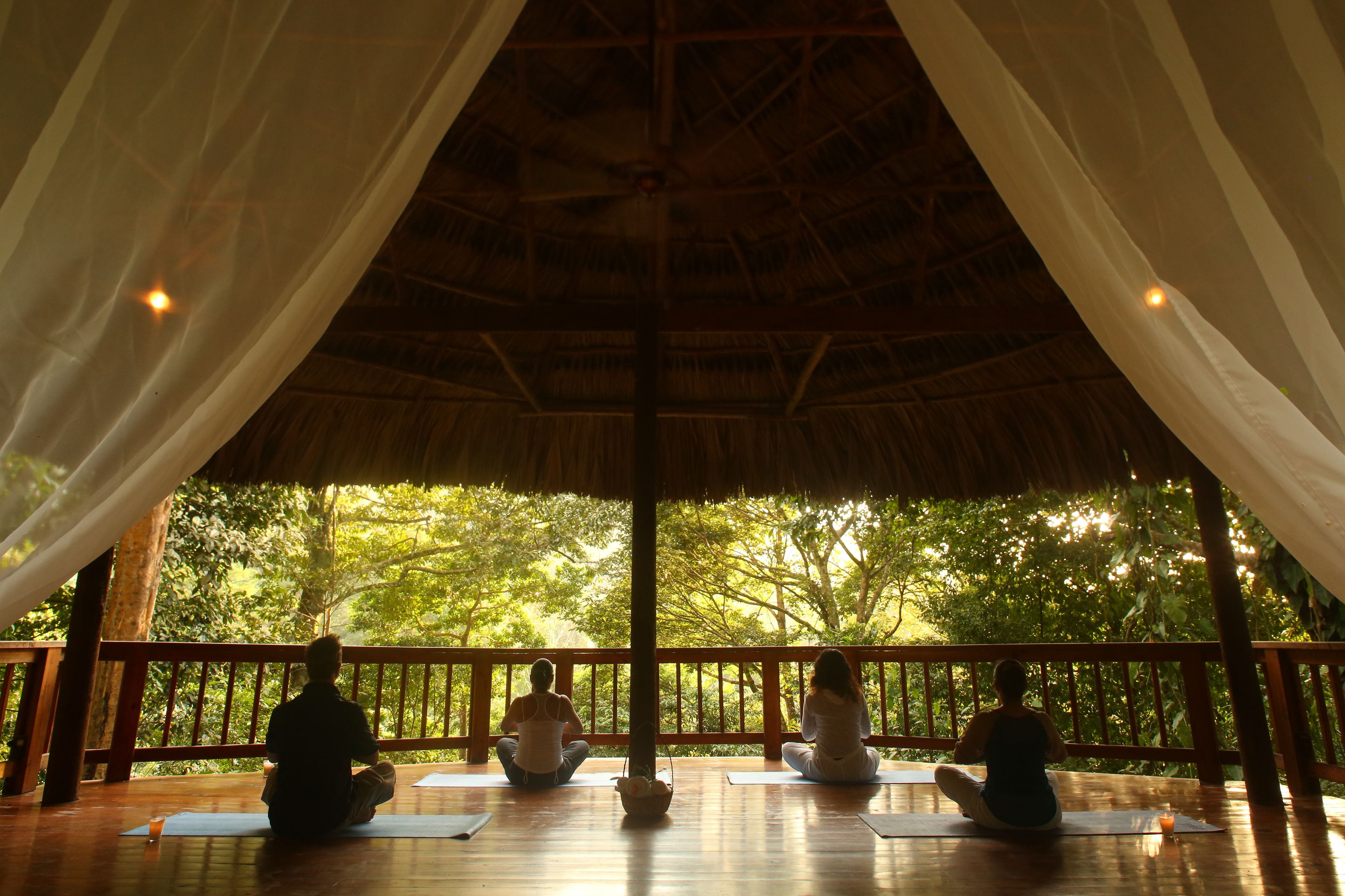 A covered outdoor yoga area with wooden flooring and a thatched roof, surrounded by trees.