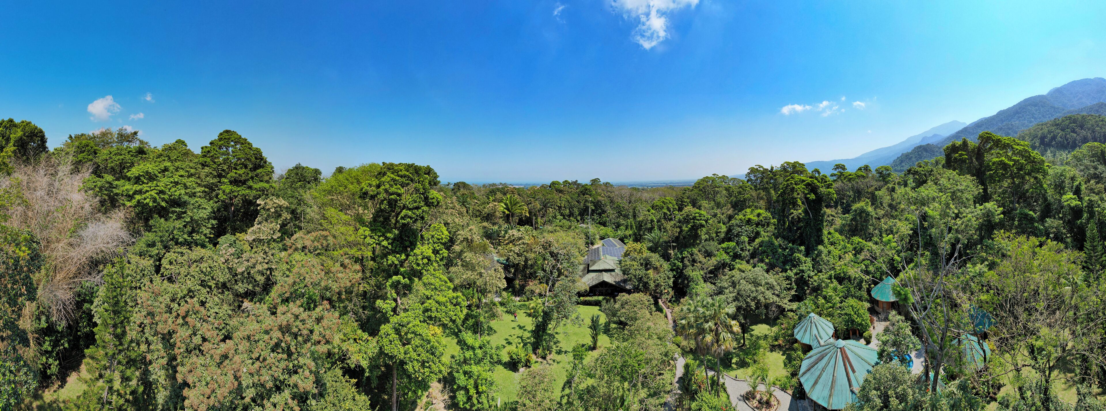 Un paisaje verde exuberante con una pequeña construcción rodeada de árboles densos y un cielo azul despejado.