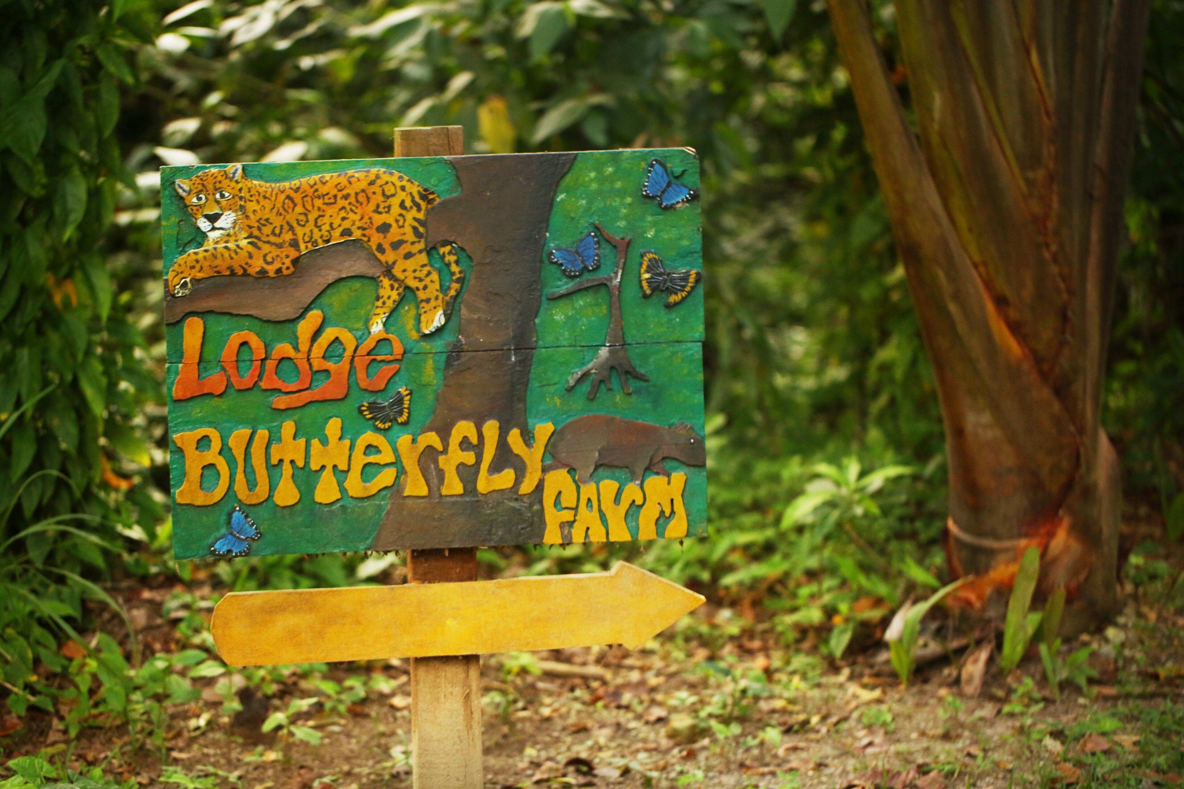 Ein Schild mit einem Leoparden, Schmetterlingen und einem Baum, das eine Lodge und einen Schmetterlingspark kennzeichnet.
