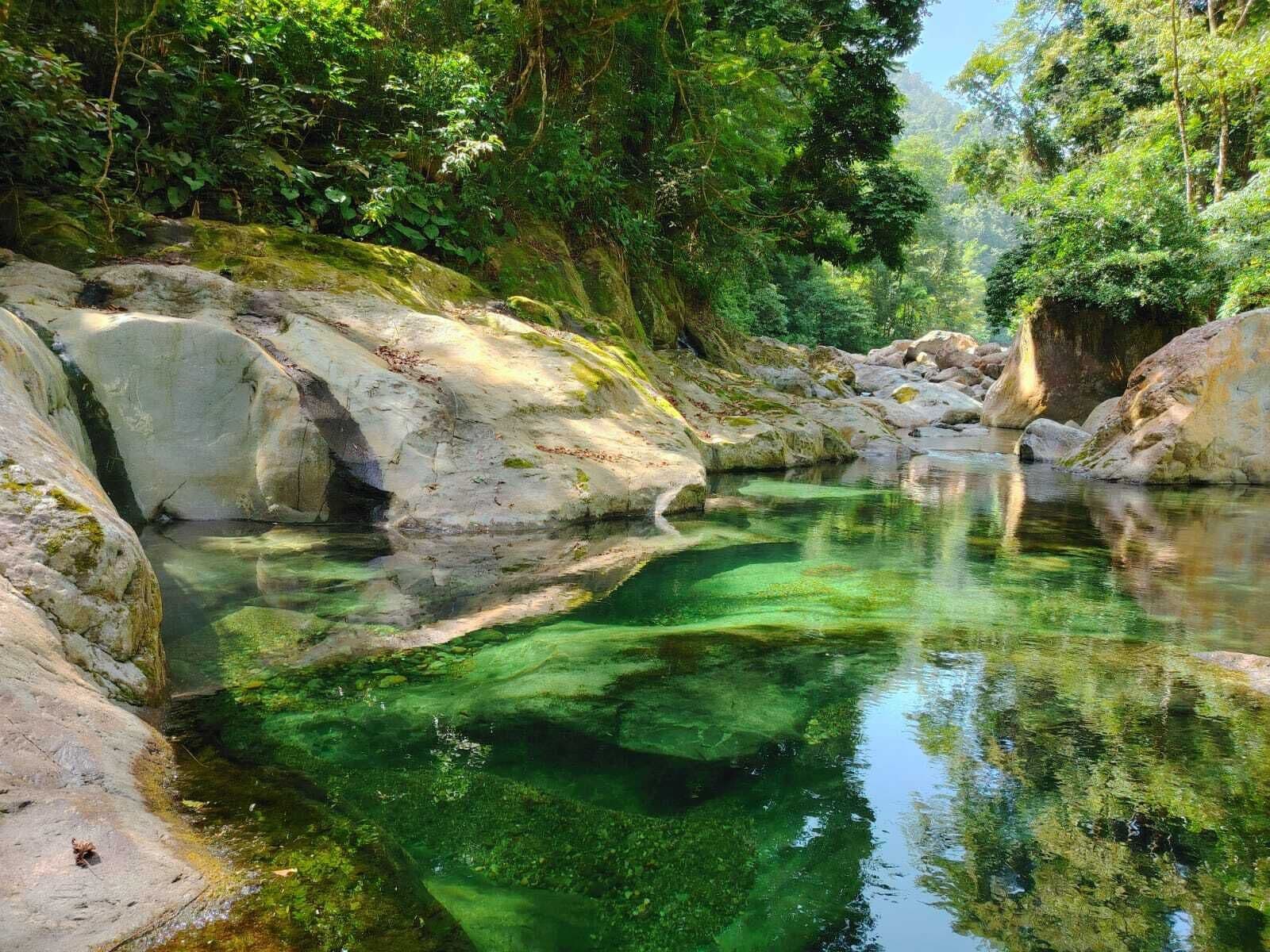 Una masa de agua natural rodeada de rocas y vegetación densa.