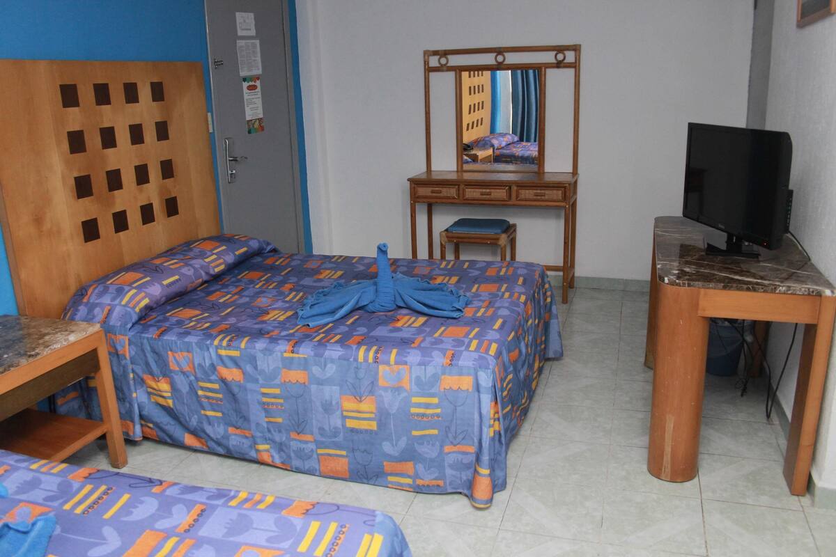 A bedroom with a bed, a wooden desk, a television, and a mirror.