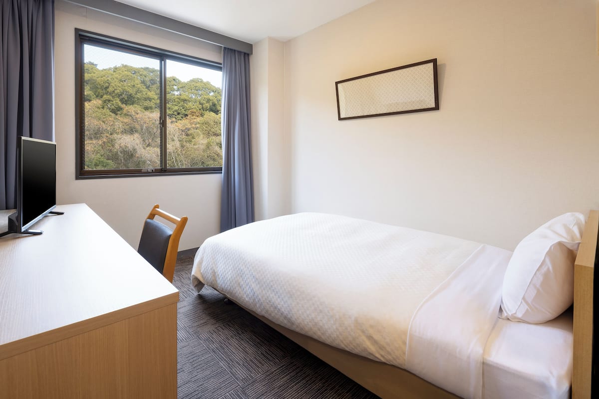 Mountain Side - Single Room - Non-Smoking | Mountain view
