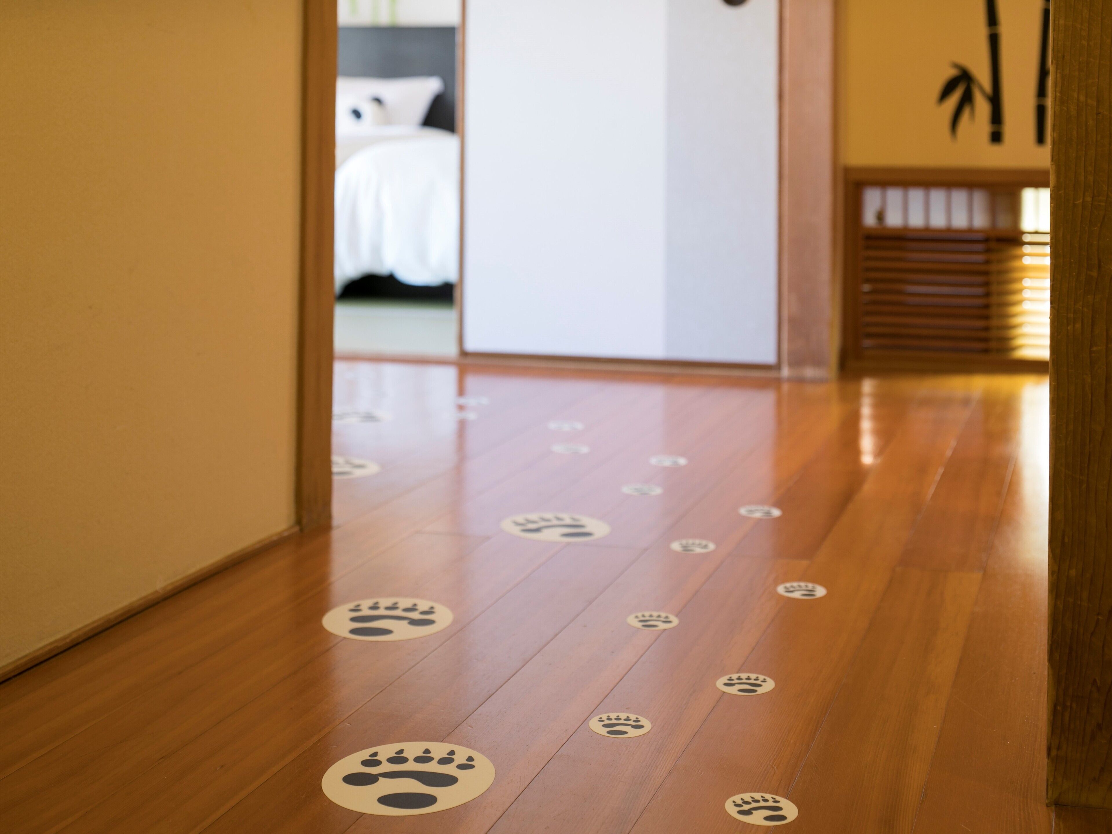 A hallway with wooden flooring and paw print floor markers.