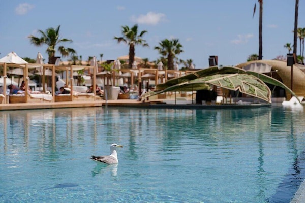 Suite, Balcony, Pool View | View from room