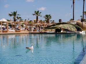 A pool with lounge chairs and umbrellas, palm trees, and a seagull.