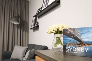Smart TV, Netflix, DVD player