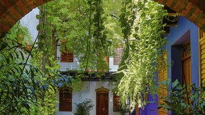 Ein gebogener Eingang zu einem Innenhof mit Fliesenboden, umgeben von Topfpflanzen und einem Gebäude mit blau-gelber Fassade.