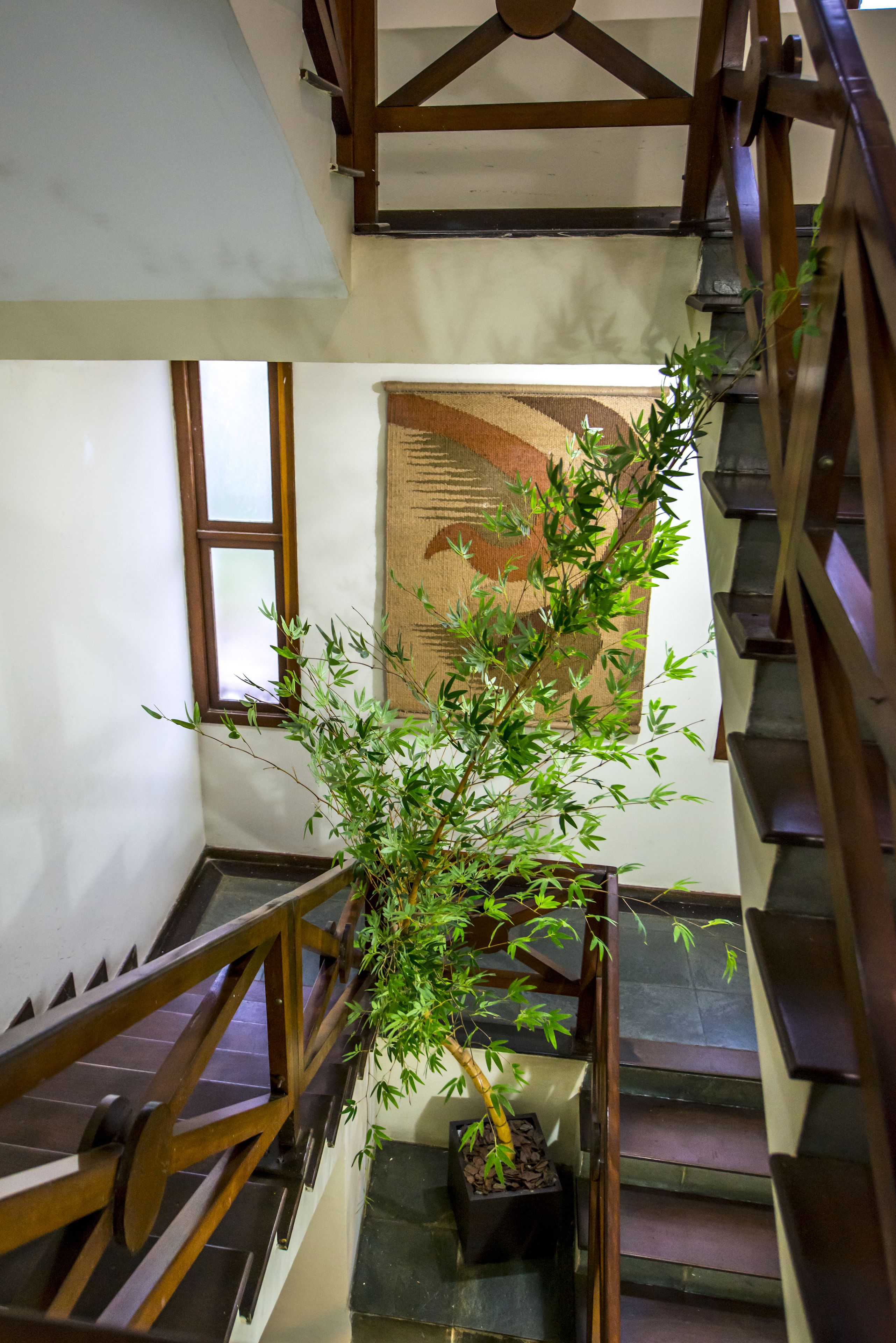 Foto - La Belle Beach Hotel