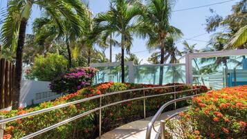 Jardim