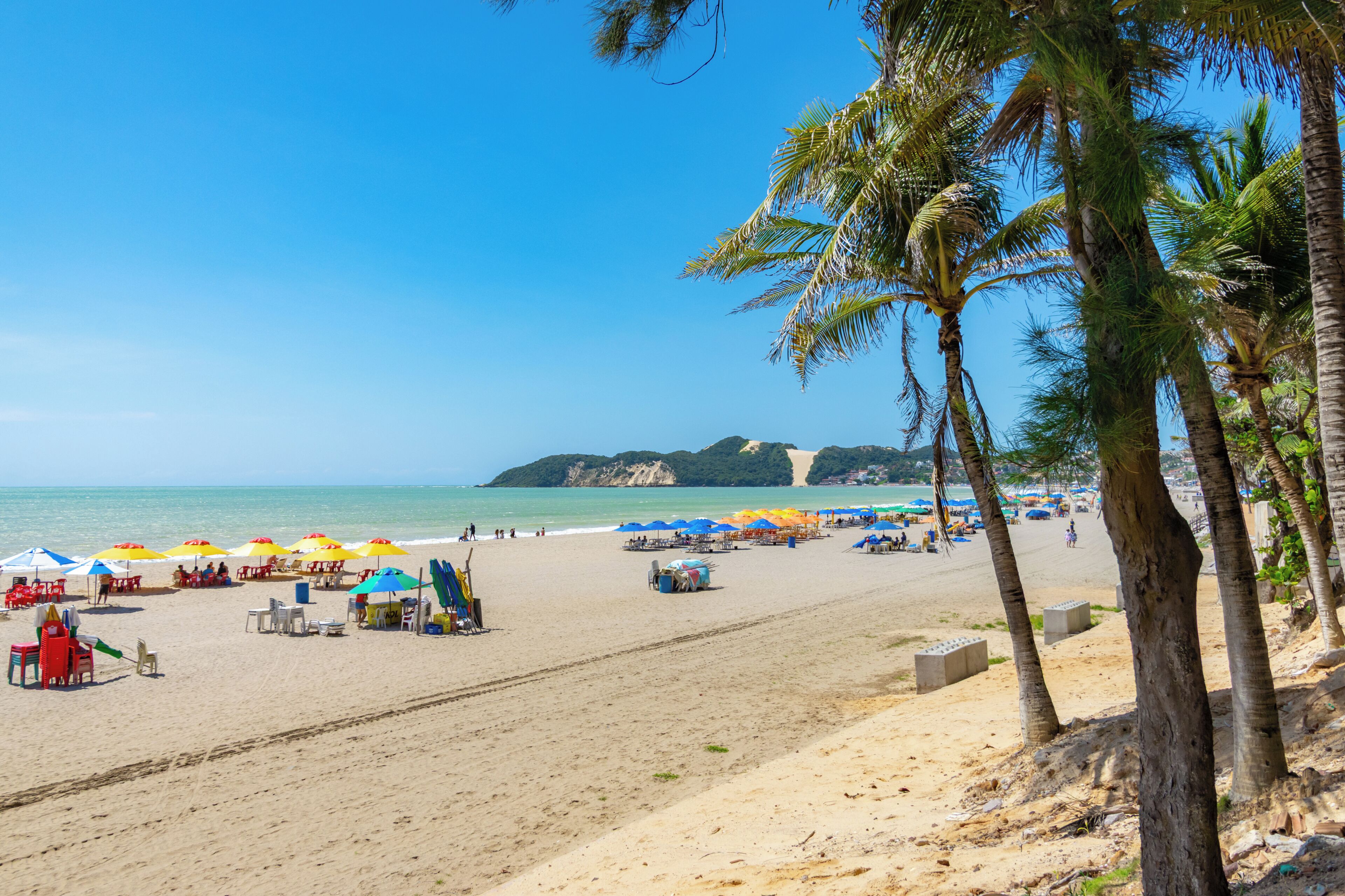 A beach with palm trees, umbrellas, and beach chairs.