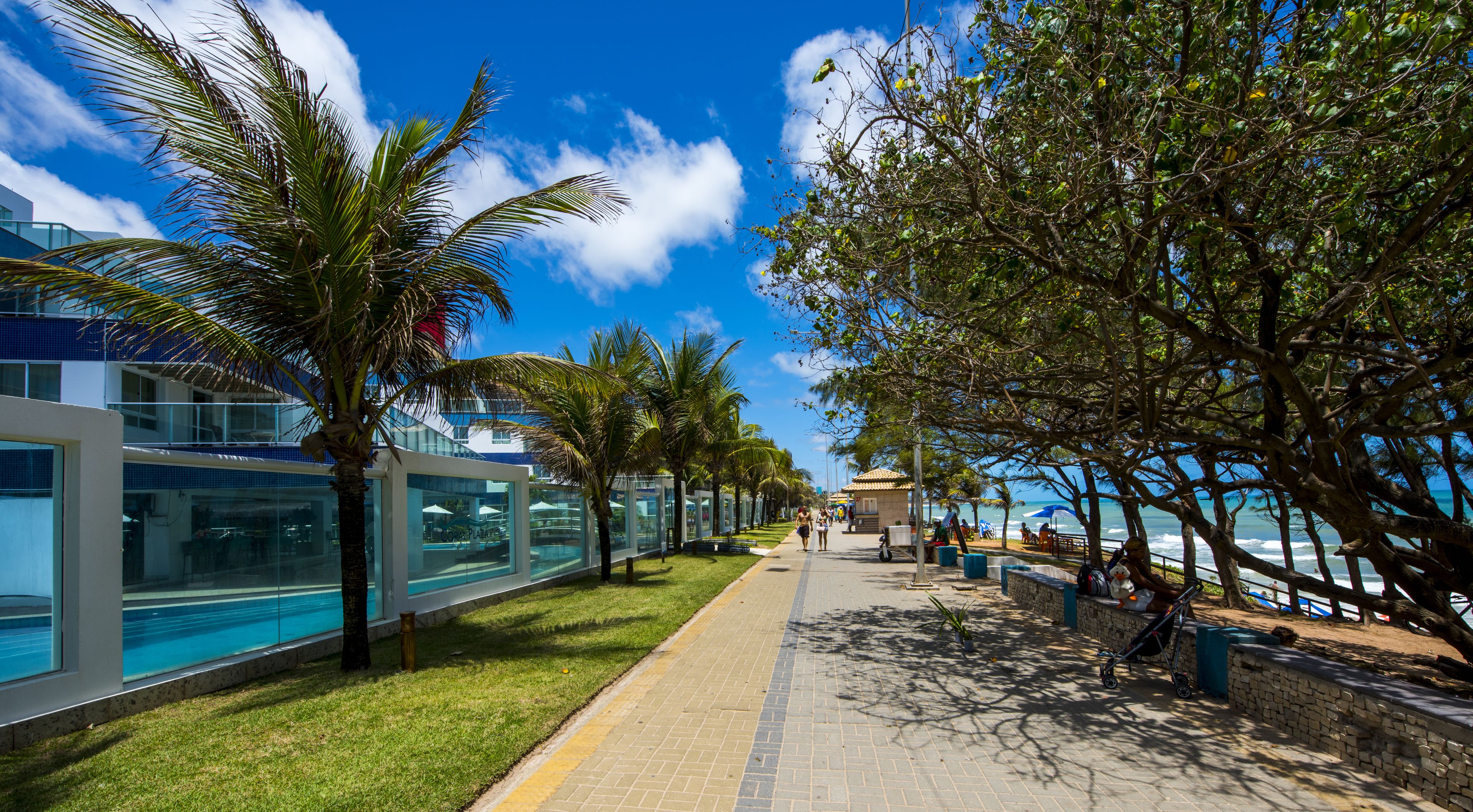 A coastal walkway lined with palm trees and a glass building with a pool.