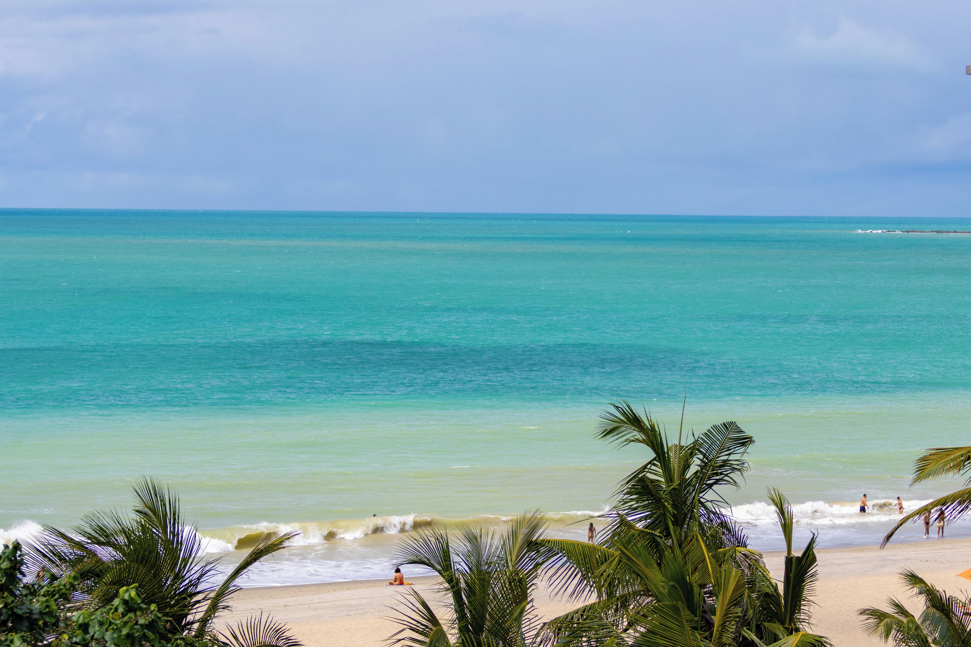 A beach with clear turquoise water, palm trees, and a sandy shore.