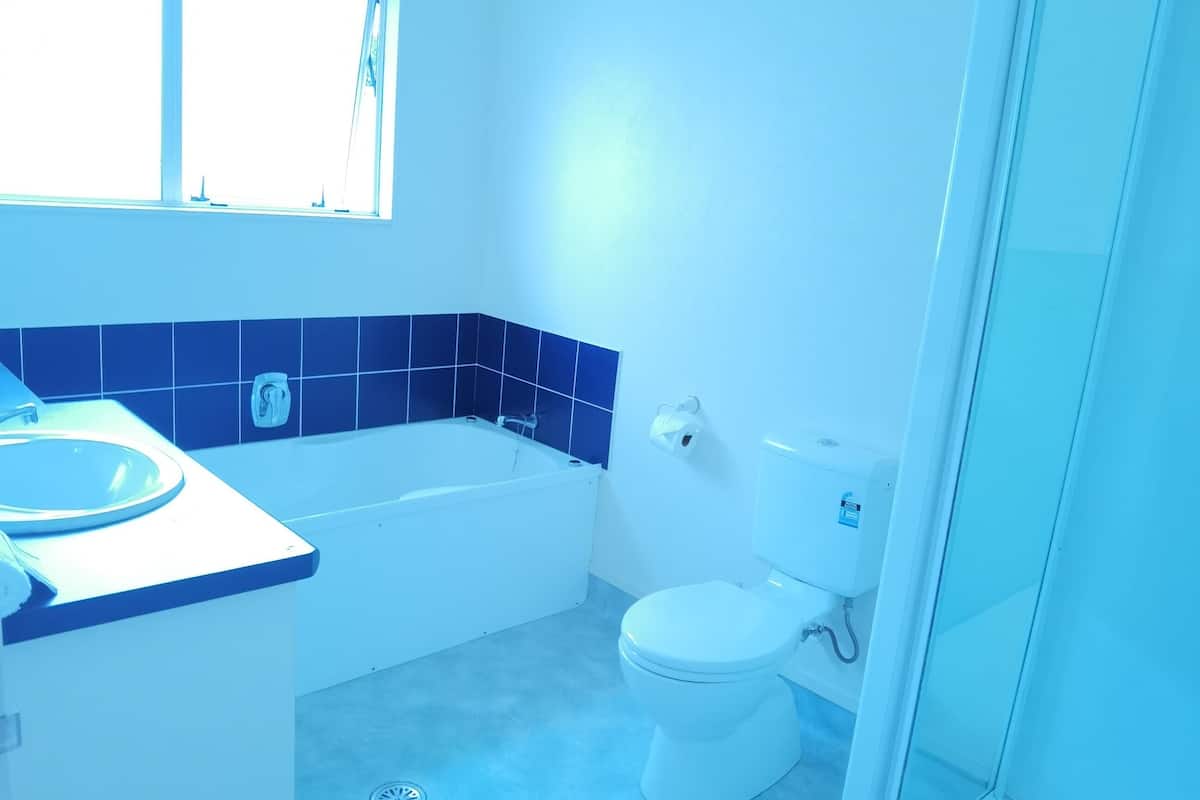 Un baño con bañera, inodoro y ducha.