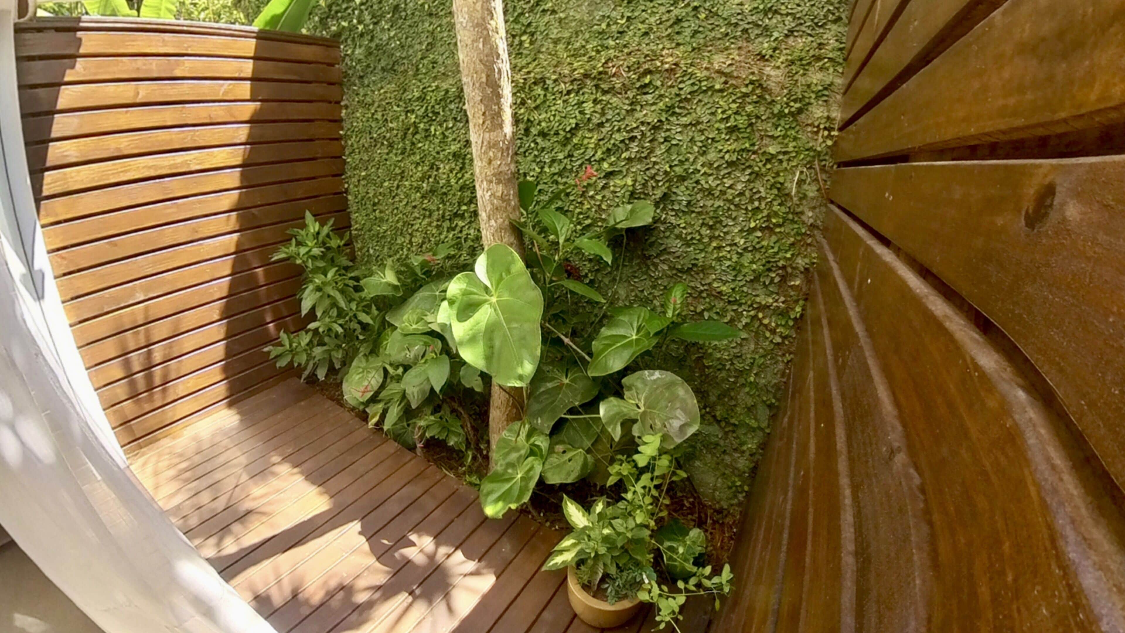 Foto - Hotel Natur Campeche