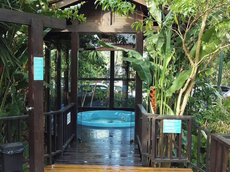 Estructura de madera con cerramiento de vidrio que conduce a un jacuzzi rodeado de exuberante vegetación tropical.