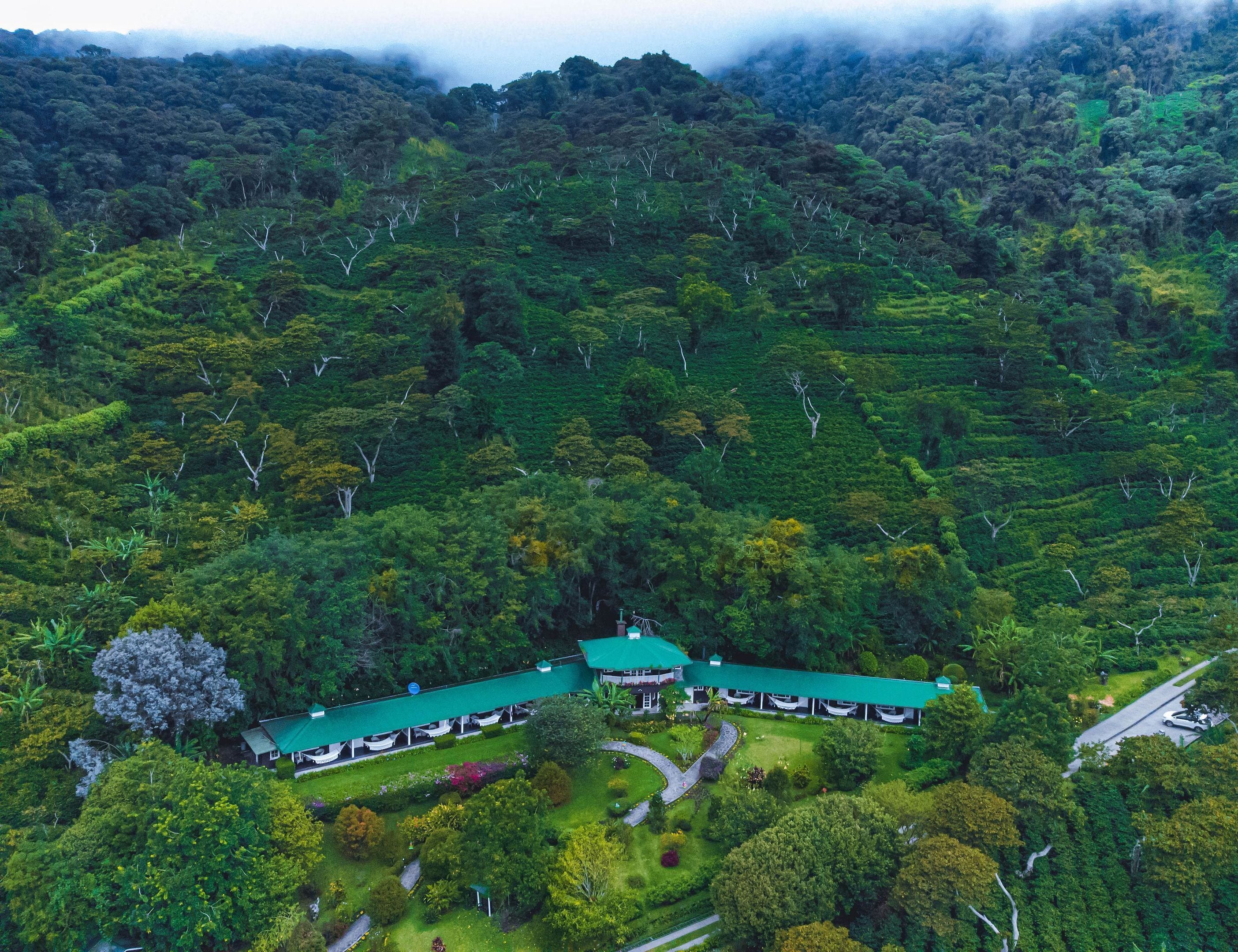 Vista aérea de un complejo turístico con un edificio de techo verde rodeado de exuberante vegetación y jardines en terrazas.