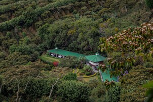 Una casa rodeada de un bosque frondoso, con techo verde y un pequeño jardín.