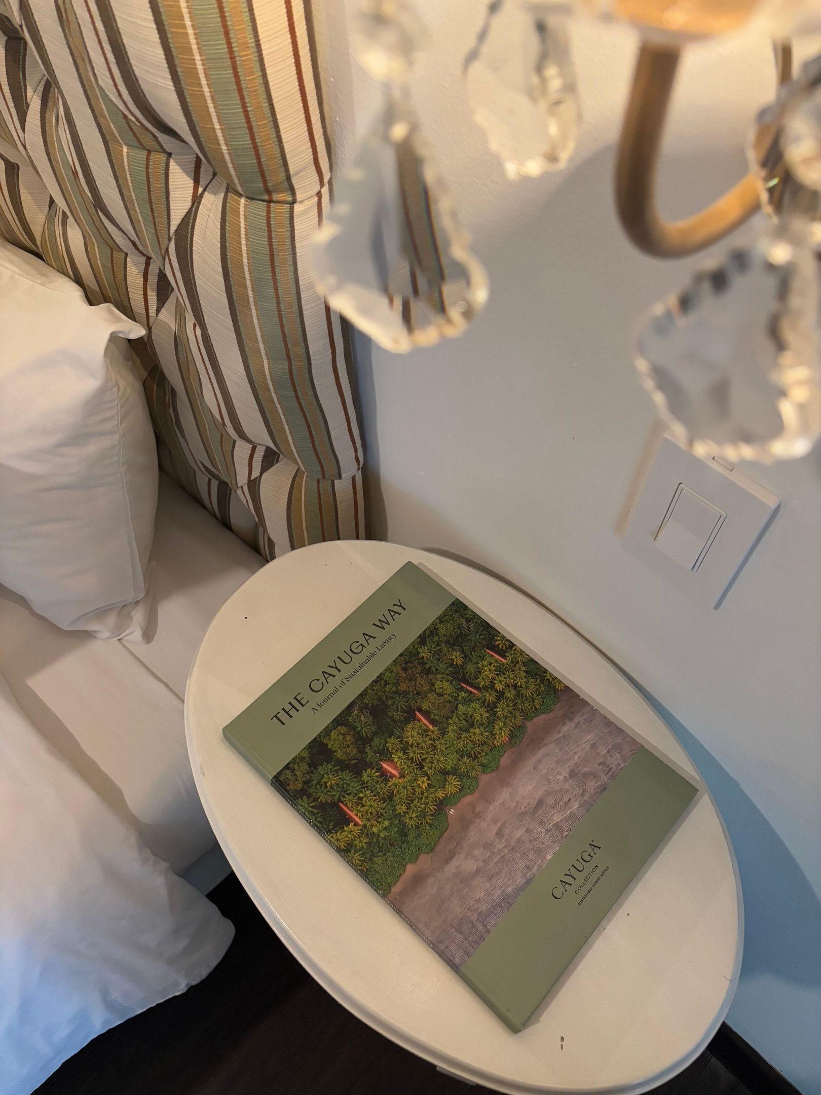 A book titled "The Cayuga Way" on a white table in a room with striped curtains and a chandelier.
