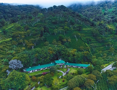 Außenbereich. Hotel Finca Lerida