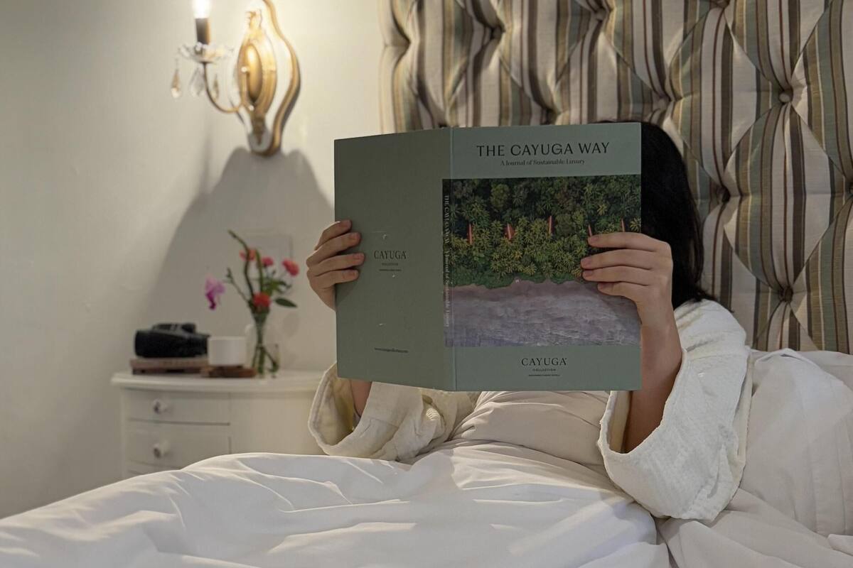 Literie de qualité supérieure, couette en duvet d'oie