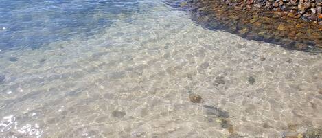 海灘