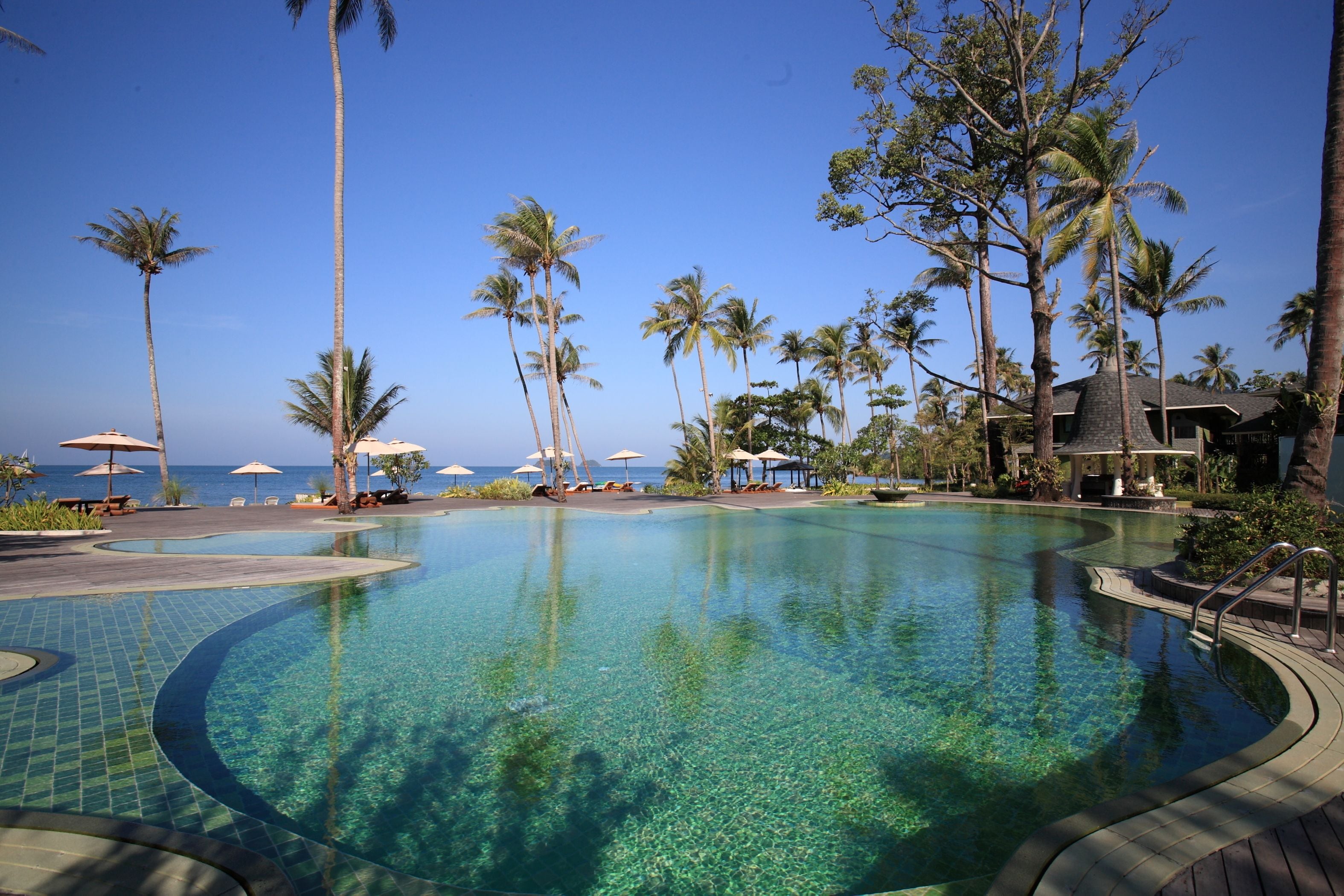 A clear pool with a tiled edge, surrounded by palm trees and umbrellas, with a view of the sea in the background.