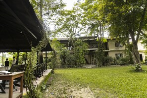 A covered outdoor area with seating, a grassy lawn, and a building with multiple windows and a ladder. - Hotel Parkside & Swimming Pool-Between Greenery and Azure ,Your Perfect Retreat (Sauraha)