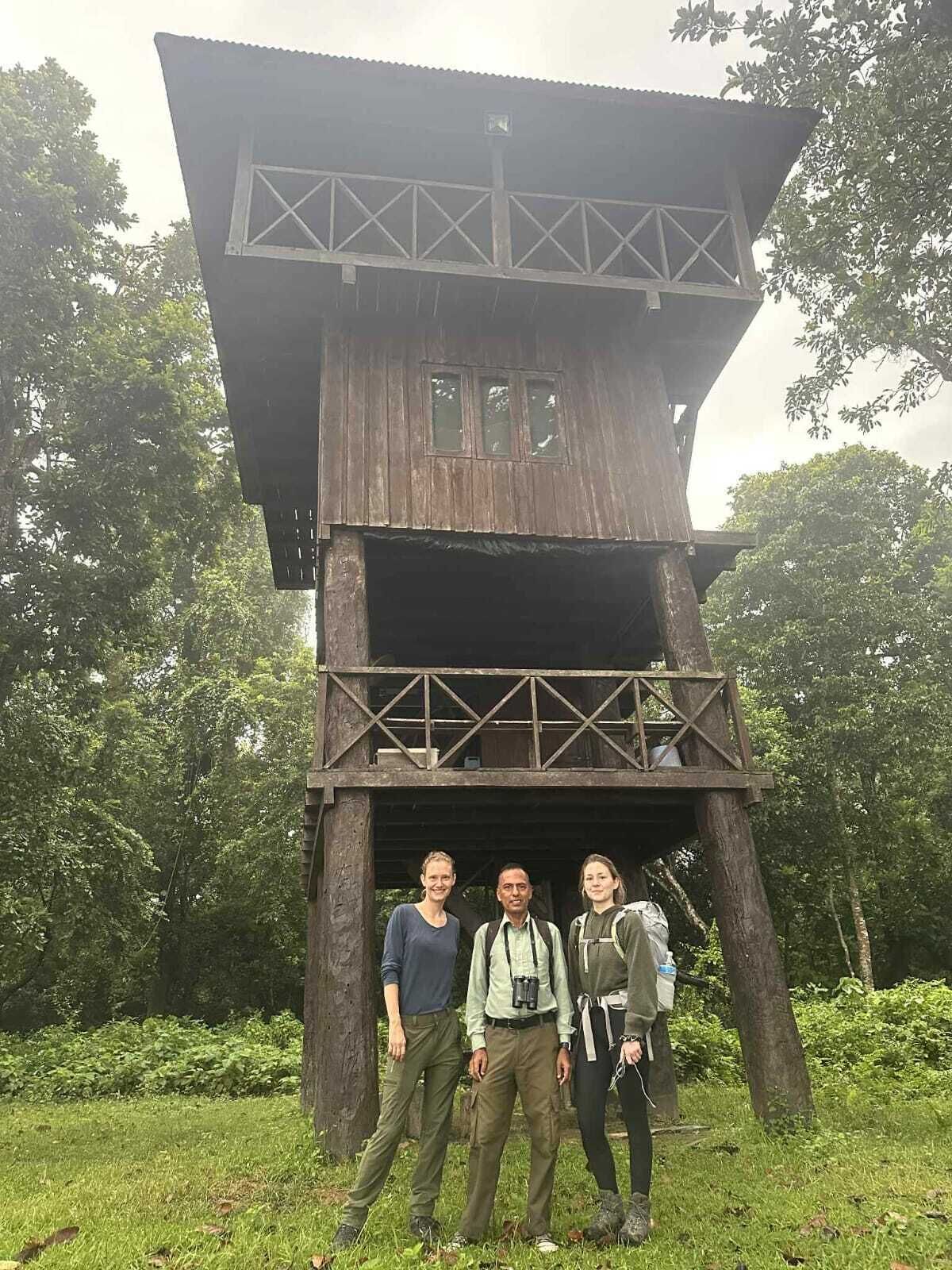 A rustic wooden tower structure with a balcony, surrounded by lush greenery.
