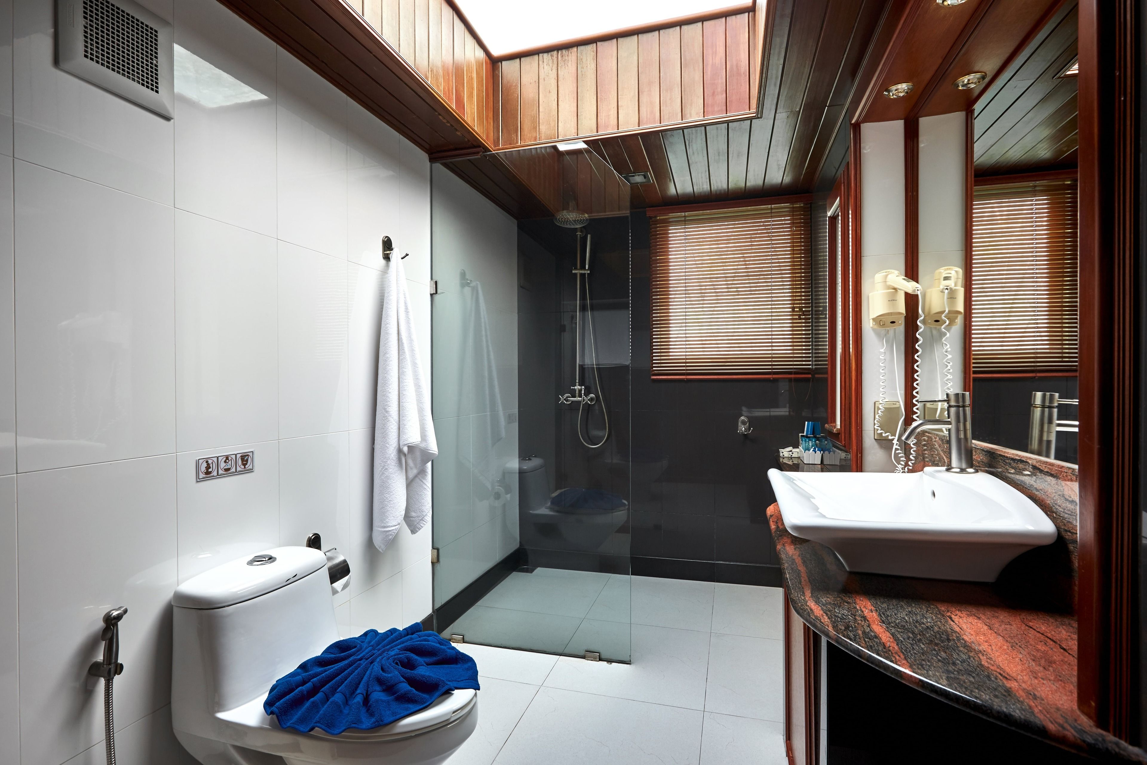 shower, rainfall showerhead, free toiletries, hair dryer