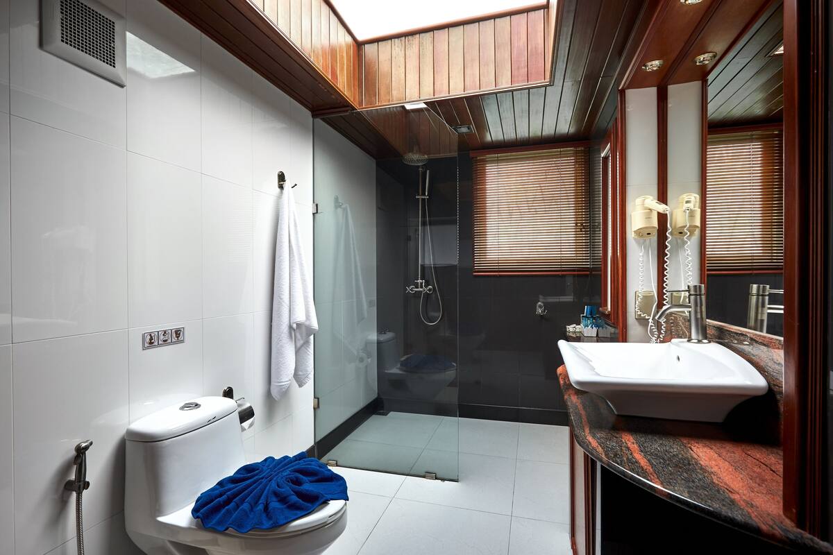 shower, rainfall showerhead, free toiletries, hair dryer